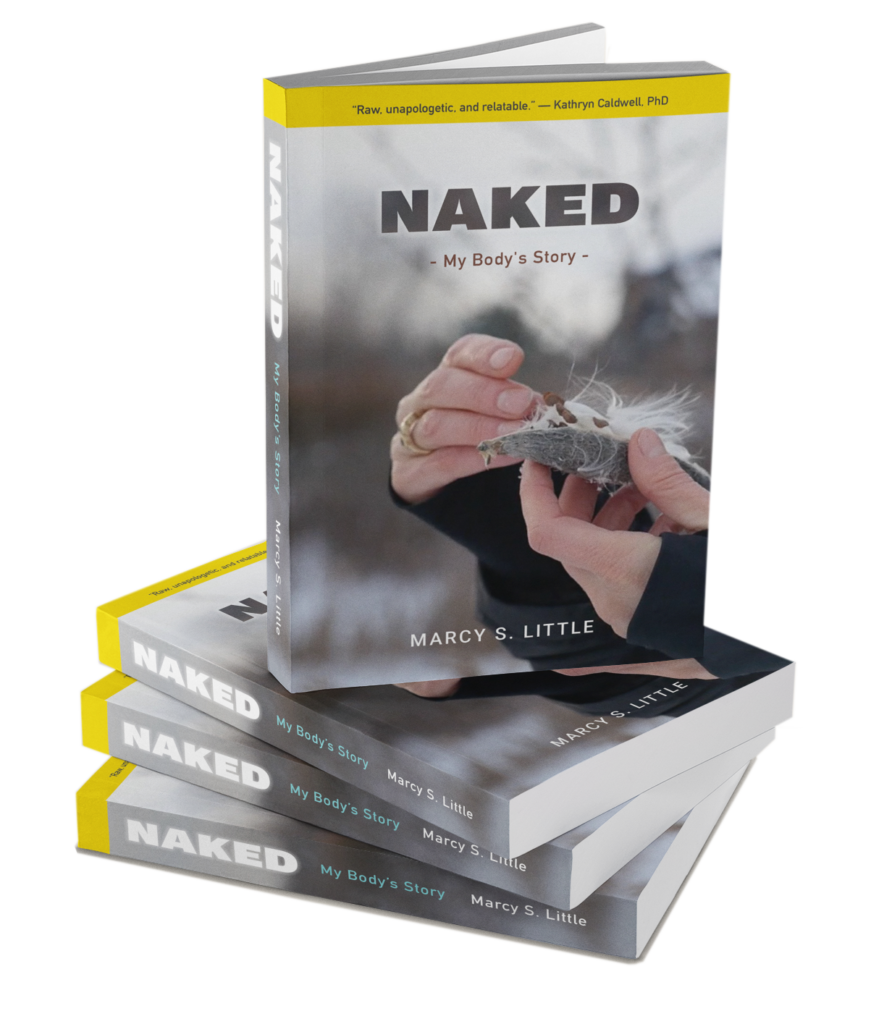 multi-book-mock-transparent